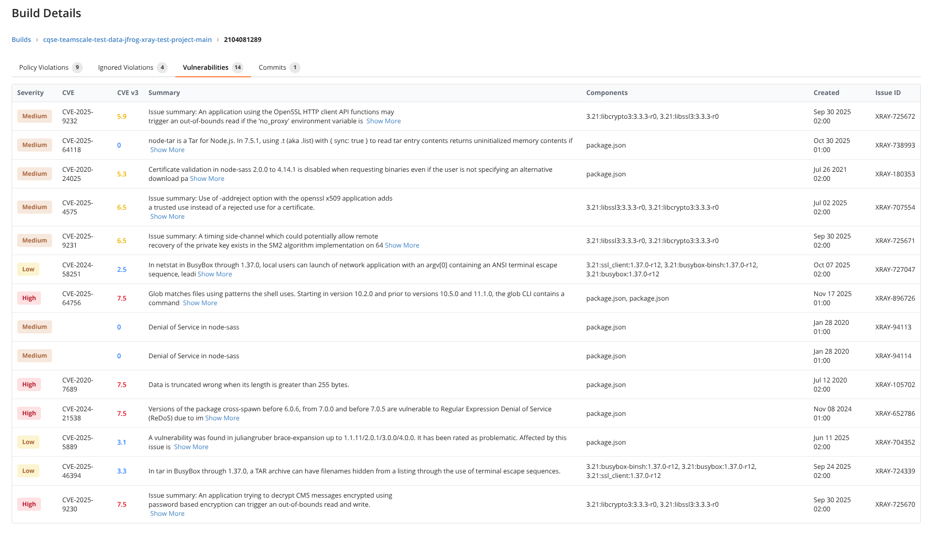 Sample Build Details in Teamscale